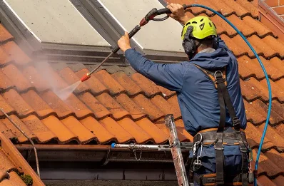 Démoussage et hydrofuge de toiture à Rogna